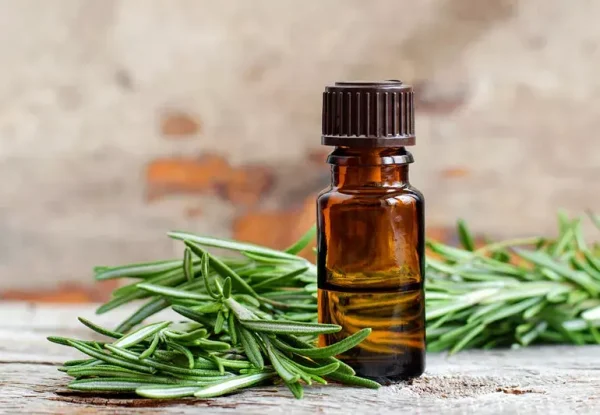 Rosemary Oil For Hair Growth